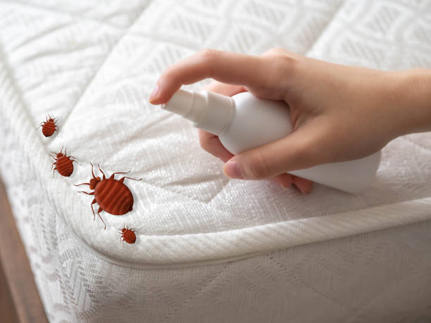 Best Residential Pest Control  in Hudsonville, MI